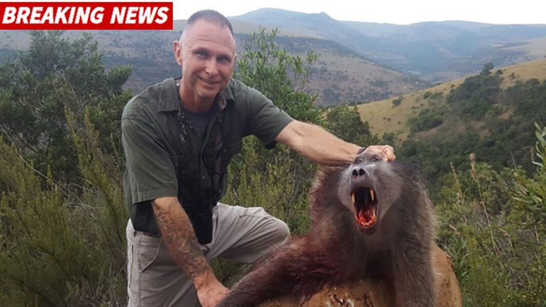 Λιοντάρια κατασπάραξαν λαθροθήρα – Είχε σκοτώσει τρεις οικογένειες μπαμπουίνων