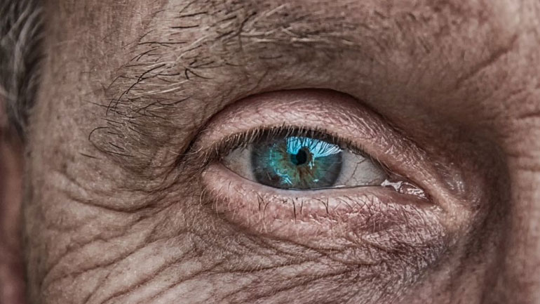 Νέοι νευρώνες αναπτύσσονται στον ανθρώπινο εγκέφαλο έως τα βαθιά γεράματα