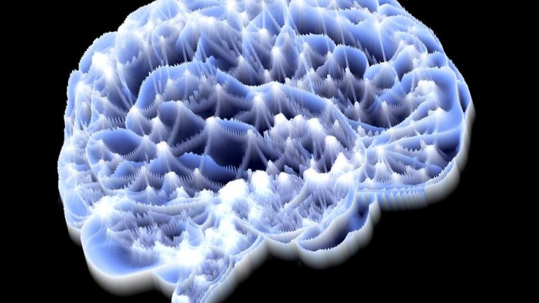 Γρήγορη ή αργή σκέψη; Είναι θέμα εγκεφάλου