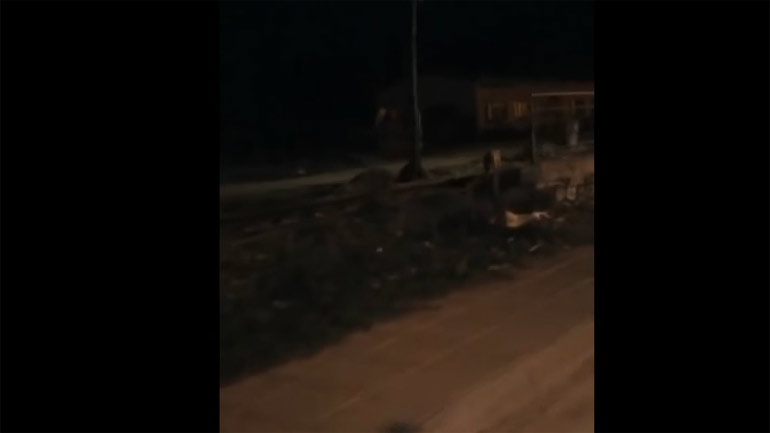 Λύκοι έκαναν την εμφάνισή τους μέσα στην πόλη της Φλώρινας