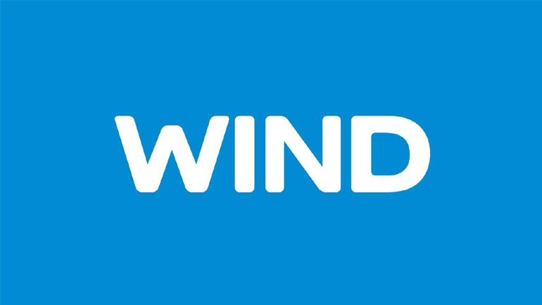 Τριετία επιταχυνόμενης ανάπτυξης για τη Wind