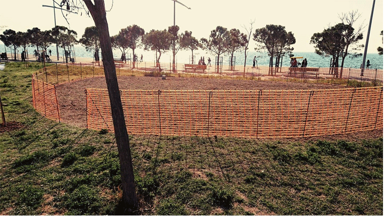 Θεσσαλονίκη: Μετέτρεψαν σε λιβάδι αγριολούλουδων τον Κήπο των Εποχών… με «βόμβες» σπόρων