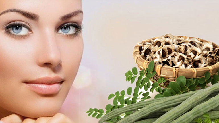 Οι ευεργετικές ιδιότητες του Moringa Oil για το πρόσωπο, το σώμα και τα μαλλιά σας!