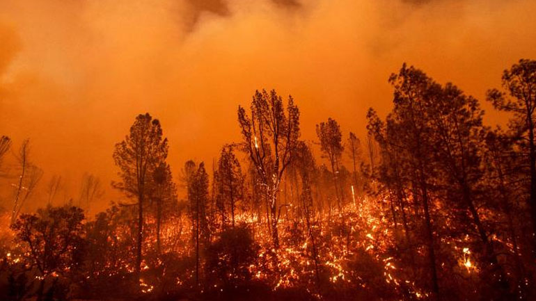 Κίνα: Τουλάχιστον 26 πυροσβέστες νεκροί σε δασική πυρκαγιά