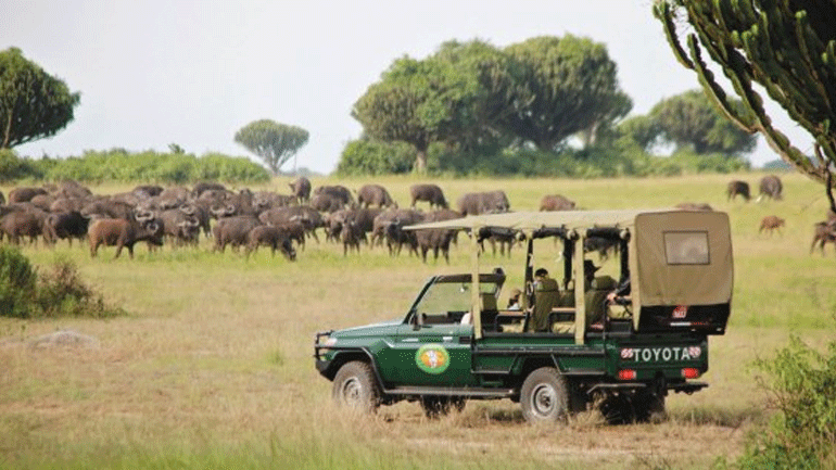 Ουγκάντα: Ένοπλοι απήγαγαν Αμερικανίδα τουρίστρια από το εθνικό πάρκο Queen Elizabeth