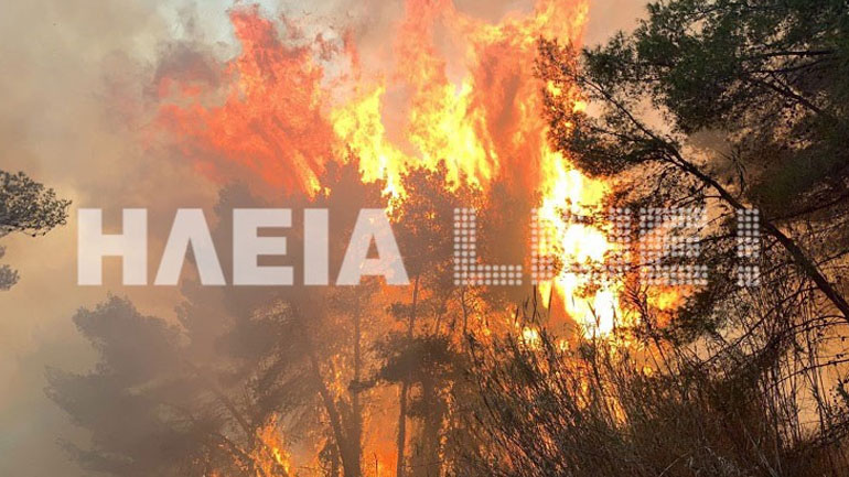 Εναέρια μέσα και ισχυρές επίγειες δυνάμεις της Πυροσβεστικής επιχειρούν στη Στροφυλιά