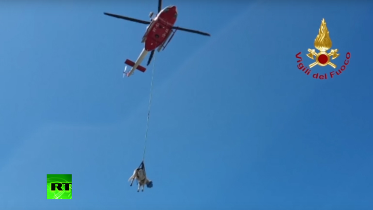 Πετάει η αγελάδα; Πετάει!