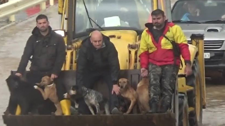 Λασίθι: Οι πυροσβέστες έσωσαν και ζώα από την κακοκαιρία