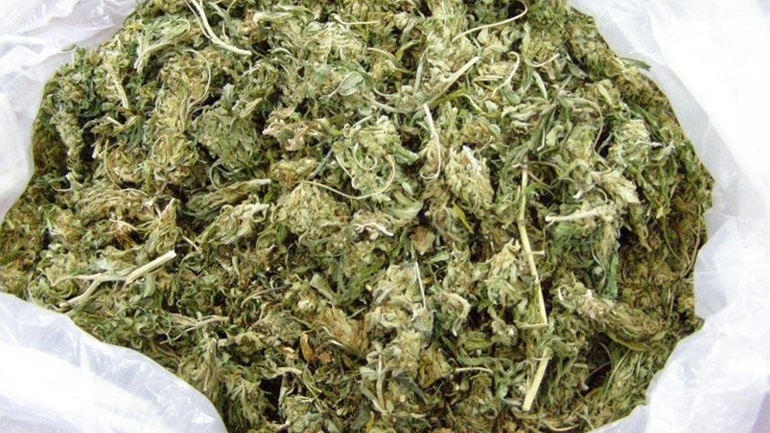 Καταδικάστηκε για 15 κιλά κάνναβης και αφέθηκε ελεύθερος έως το Εφετείο