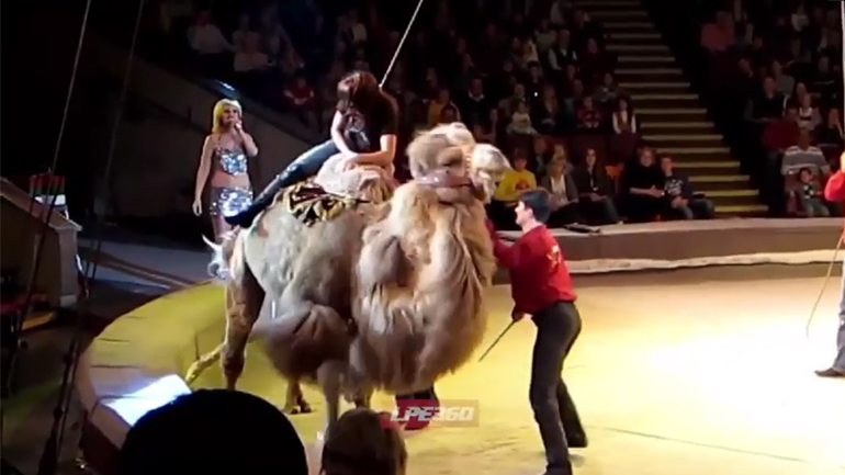 Όταν η μέρα σου δεν πάει καλά…