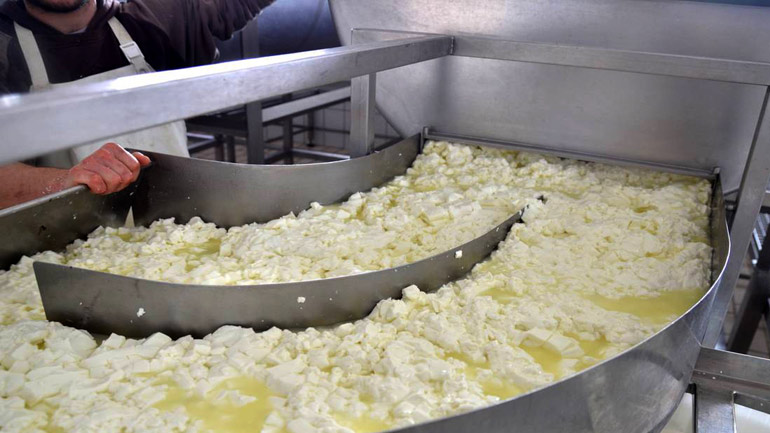 Λουκέτο σε τυροκομική μονάδα φέτας