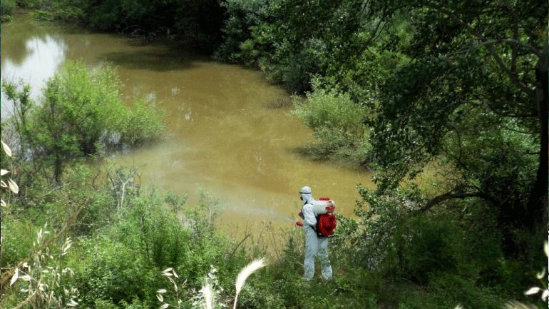 Ξεκινά την ερχόμενη εβδομάδα το πρόγραμμα καταπολέμησης κουνουπιών στην Κεντρική Μακεδονία