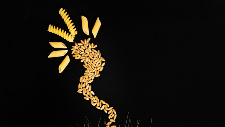 Αποκωδικοποιήθηκε το DNA του σκληρού σιταριού