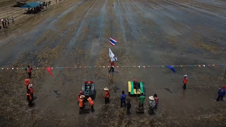 Αγρότες «τα έστησαν» μέσα σε χωράφι με ρύζι