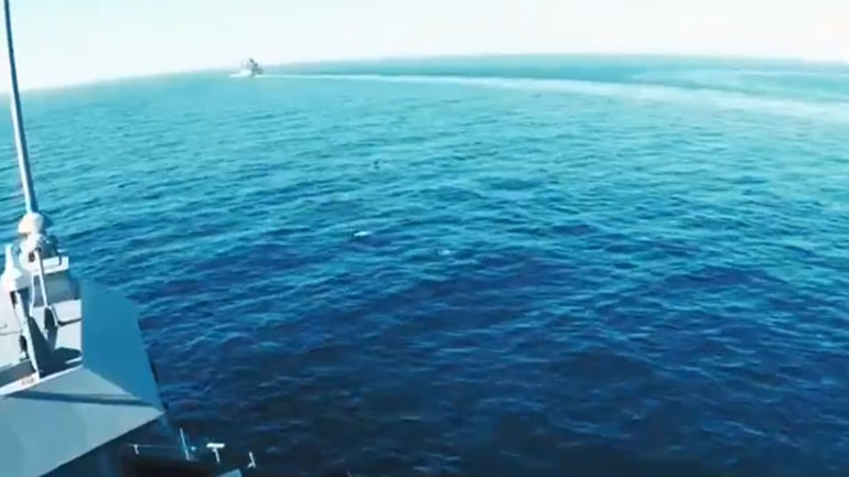 Η απάντηση της Τουρκίας για τα νεκρά δελφίνια κατά την άσκηση «Γαλάζια Πατρίδα»