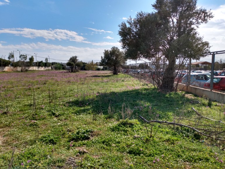 Δείγματα από τη φωτογραφική του Moto G7 Play (Πατήστε επάνω στις φωτογραφίες)