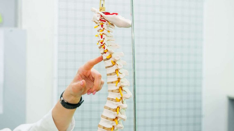 O ενεργός τρόπος ζωής επιδιορθώνει τα τραύματα του νωτιαίου μυελού