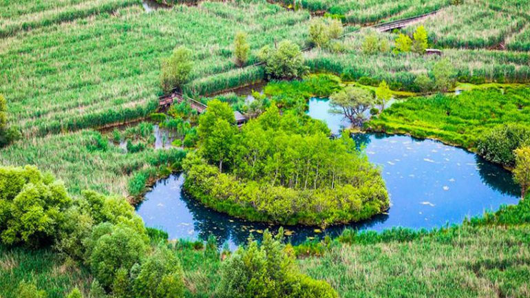 Πλωτά νησάκια γεμάτα βλάστηση