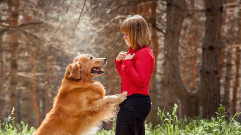 Πώς να εκπαιδεύσεις τον σκύλο σου να ξεπεράσει τον φόβο του θορύβου