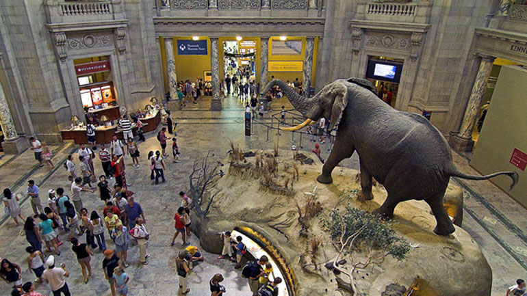 «Πόρτα» στον Μπολσονάρου από το Μουσείο Φυσικής Ιστορίας της Ν. Υόρκης