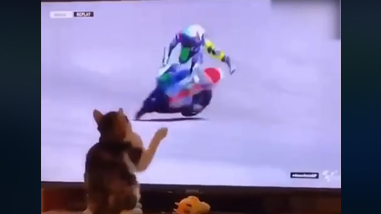 MotoGP2019: Γαταστροφή στο Austin!