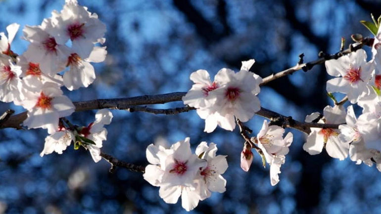 Ανοιξιάτικος ο καιρός τη Μ. Εβδομάδα