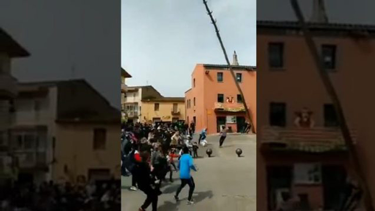 Άνθρωποι γλυτώνουν από την πτώση ενός δέντρου