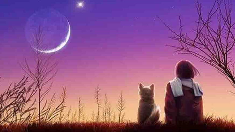 Πόσο φιλόζωα είναι τα ζώδια;