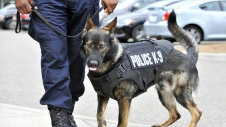 Σέρρες: Ο «Άτλας» μύρισε τα ναρκωτικά στον Προμαχώνα