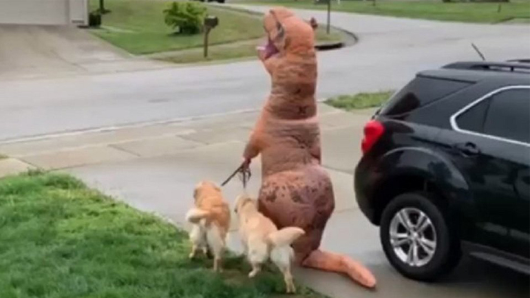 Δεινόσαυρος βγάζει βόλτα τα σκυλιά του