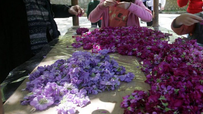 Η ελληνική φύση στολίζει με τα λουλούδια της τον Επιτάφιο