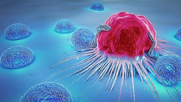 Δεκάδες χιλιάδες άγνωστους θαλάσσιους ιούς κατέγραψε επιστημονική έρευνα