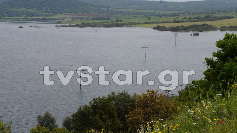 Θήβα: Υπερχείλισε η Παραλίμνη και καλύπτει τα πάντα στο πέρασμά της