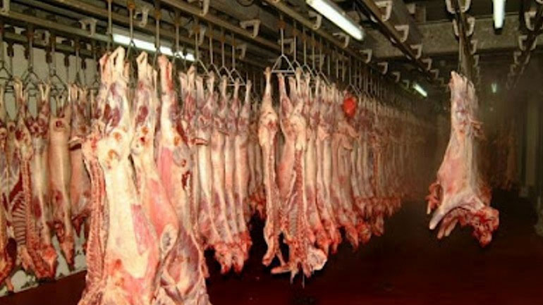 Κατάσχεση ακατάλληλων αρνιών, αλιευμάτων και τυριών στο λιμάνι του Πειραιά