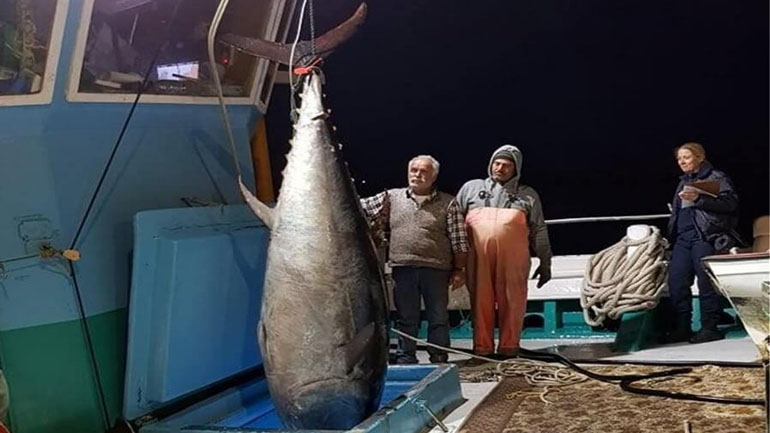 Ψάρεψαν τον μεγαλύτερο τόνο των ελληνικών θαλασσών