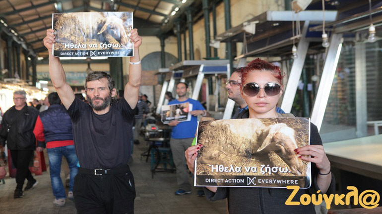 Ακτιβιστές βίγκαν επανήλθαν στη Βαρβάκειο και το Μεγάλο Σάββατο