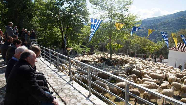 Κρήτη: Η ευλογία των προβάτων στην Ασή Γωνιά του δήμου Αποκορώνου