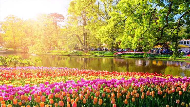 Ολλανδία: Ρεκόρ επισκεπτών στο «Πάρκο Λουλουδιών» τις ημέρες του Πάσχα των Καθολικών