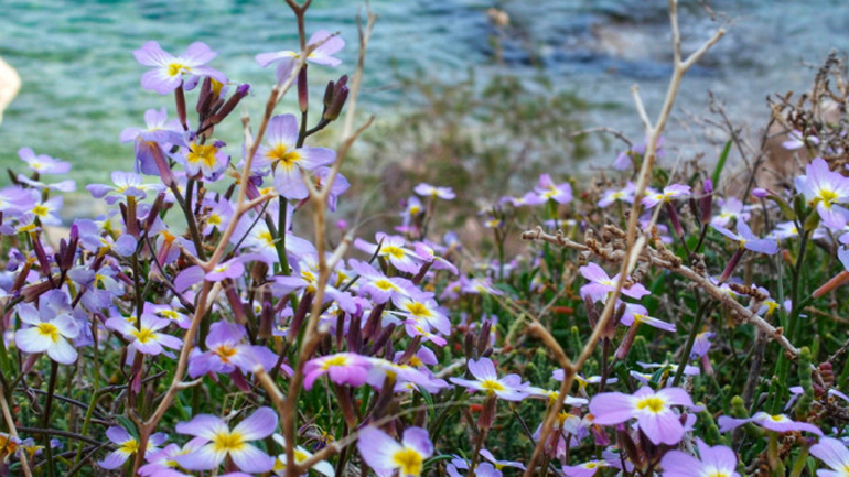 Καλοκαιρινός ο καιρός και τη Δευτέρα του Πάσχα