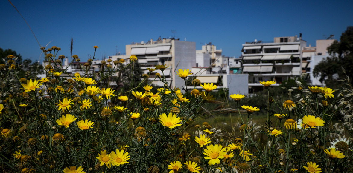 Πιάνουμε τον Μάη