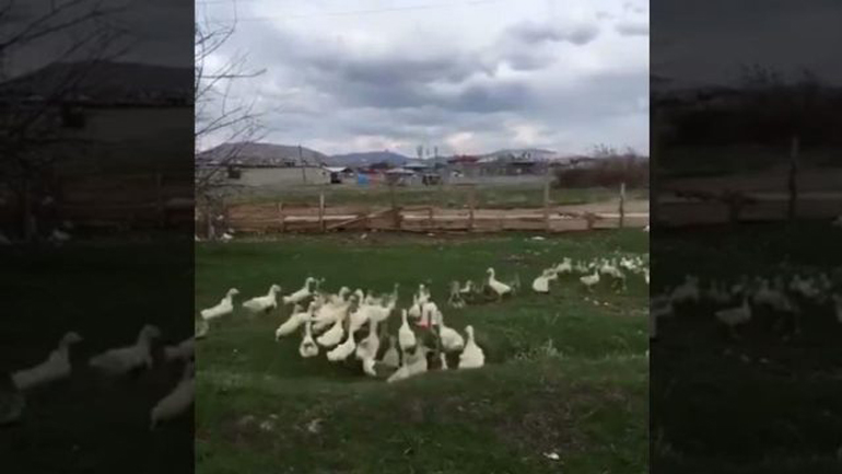 Στοιχηθείτε!