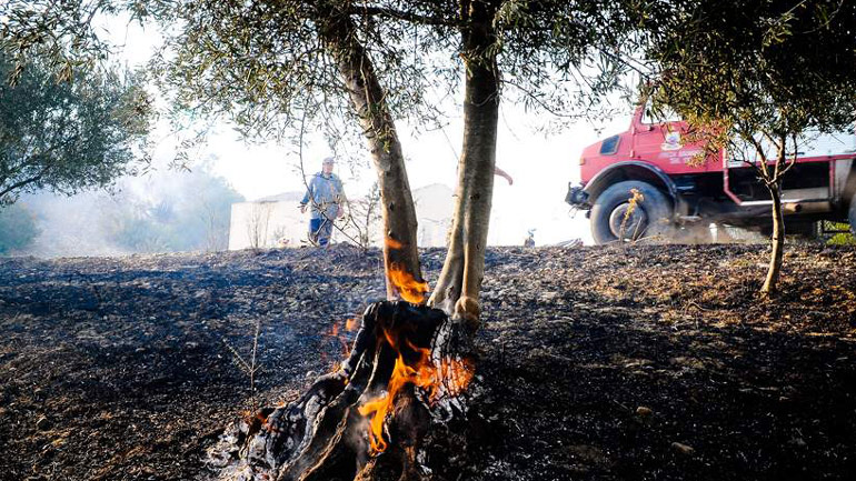 Νέα υπουργική απόφαση για τον συντονισμό της Πυροσβεστικής με τη Δασική Υπηρεσία