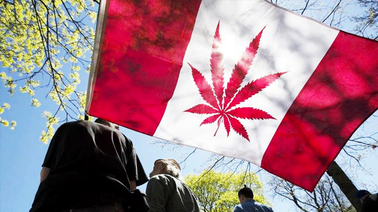 Καναδάς: Όλο και περισσότεροι νέοι καταναλωτές κάνναβης, μετά τη νομιμοποίησή της