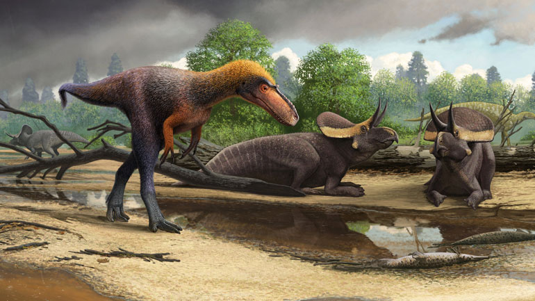 Ανακαλύφθηκε στις ΗΠΑ μικρομεσαίος πρόγονος του Τυραννόσαυρου