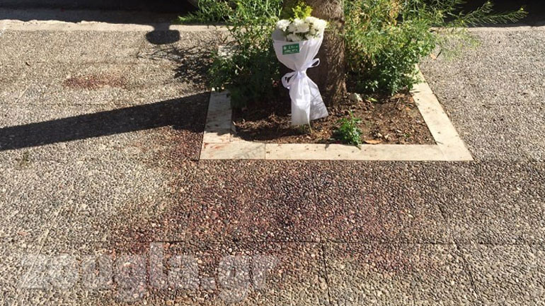 Aρνείται τις κατηγορίες ο φερόμενος αδελφοκτόνος του Π. Φαλήρου