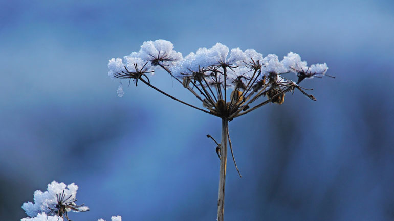 Meteo: Άνοιξη με θερμοκρασίες ακόμη και υπό το μηδέν στα ορεινά της χώρας Meteo: Άνοιξη με θερμοκρασίες ακόμη και υπό το μηδέν στα ορεινά της χώρας