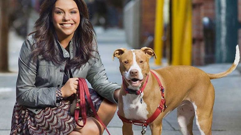 Έξι ράτσες σκύλων ιδανικές για οικογένεια