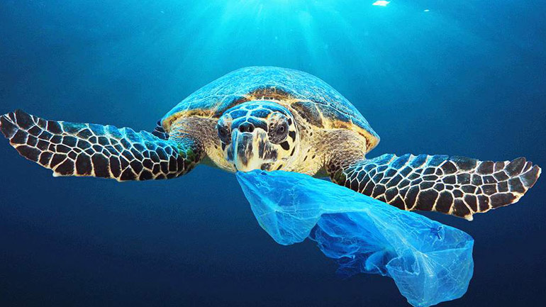 Ημερίδα με θέμα: «Πλαστικά Μίας Χρήσης. Σήμερα Κανόνας, Αύριο Εξαίρεση»