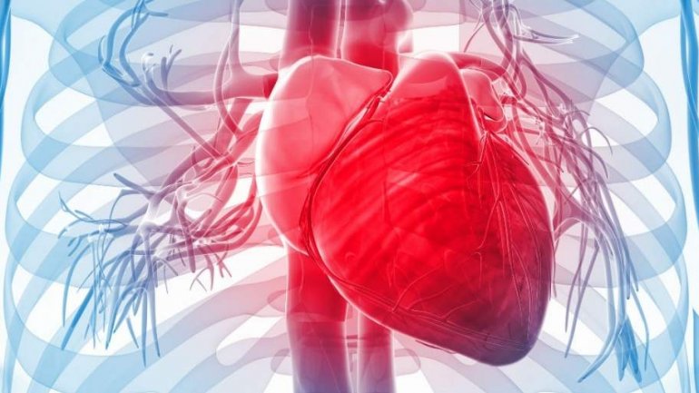 Πανευρωπαϊκή εβδομάδα αφύπνισης για την καρδιακή ανεπάρκεια, 6-12  Μαΐου 2019