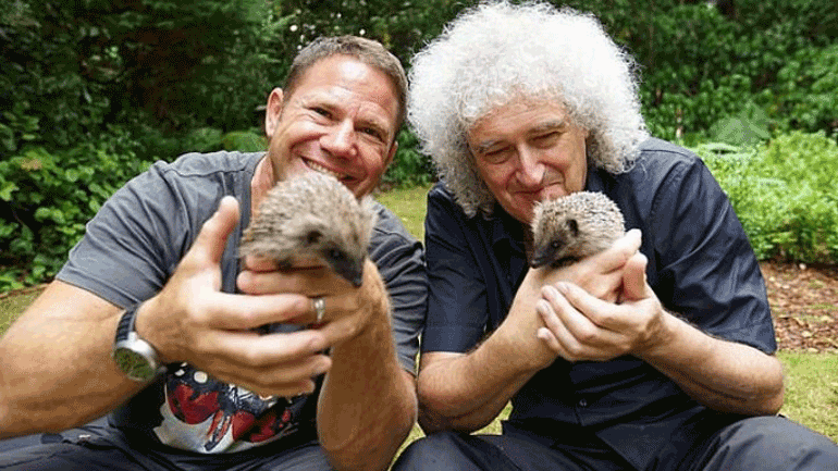 Ο κιθαρίστας των Queen σώζει τραυματισμένους σκαντζόχοιρους